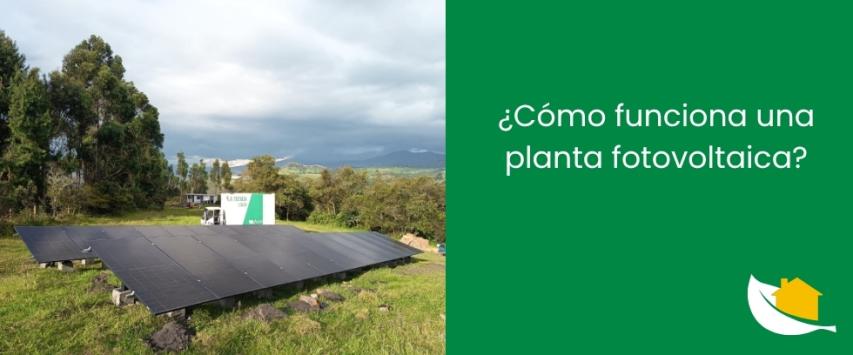 ¿Cómo funciona una planta fotovoltaica?