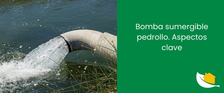 Bomba sumergible Pedrollo​. Aspectos clave