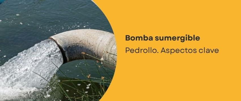 Bomba sumergible Pedrollo​. Aspectos clave