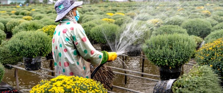 Bombas de agua pequeñas. Estos son sus usos