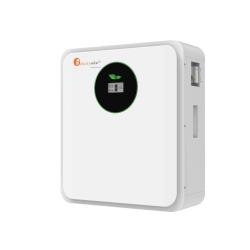 Batería Litio Felicity Solar 2,56kWh 24V 100A FLA24100