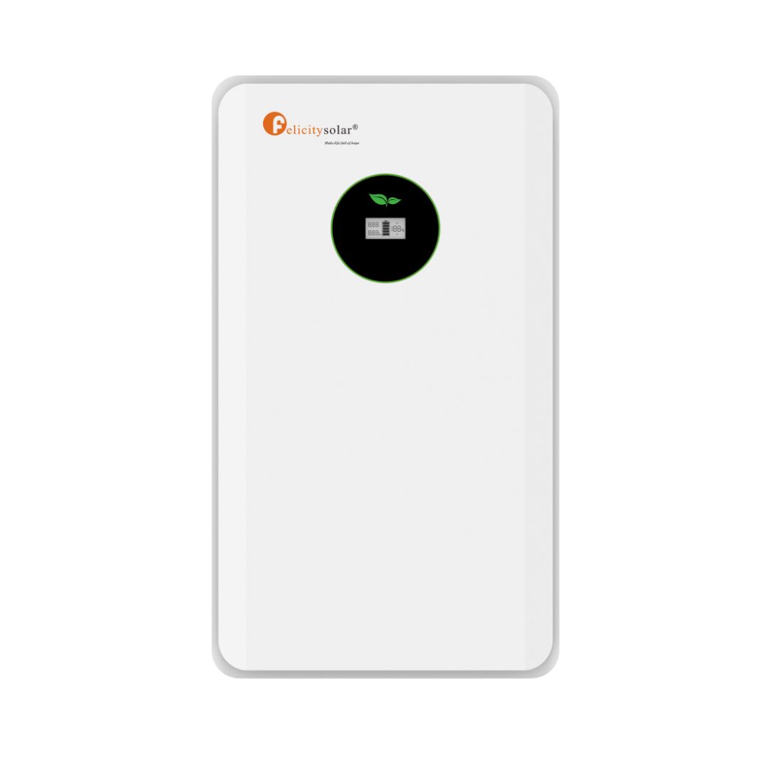 Bateria Litio Felicity Solar 11.8Kwh 51,2V FLA48230-EU