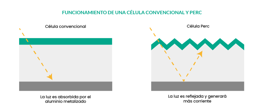 Diagrama de celda PERC mostrando la capa pasivante trasera y el flujo de luz reflejada